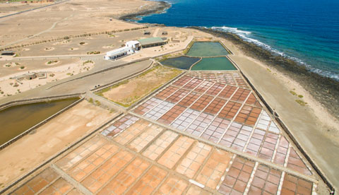 Bild zum Thema Museen und Freizeitparks auf Fuerteventura